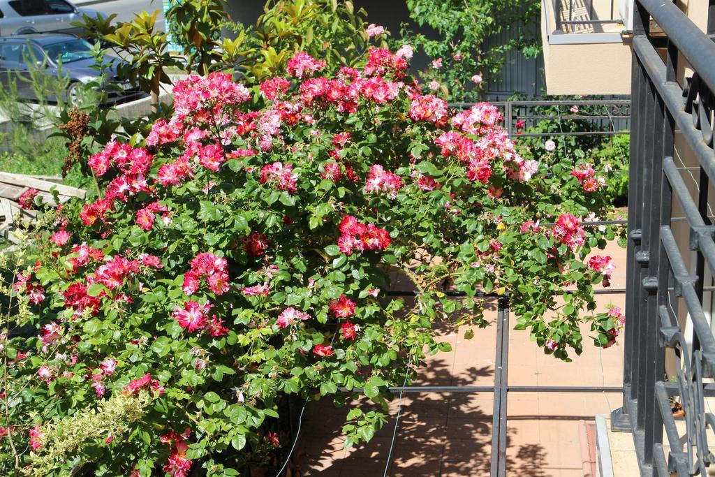 Flowers Apartments Nesebar Bagian luar foto